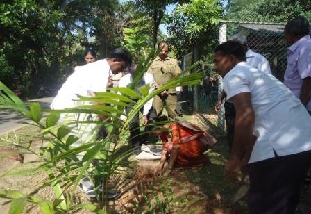 රුක්රෝපණය