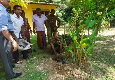 රුක්රෝපණය