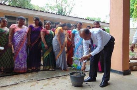 රුක්රෝපණය
