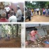 ‍ඩෙංගු මර්ධනය කිරීමේ වැඩසටහන